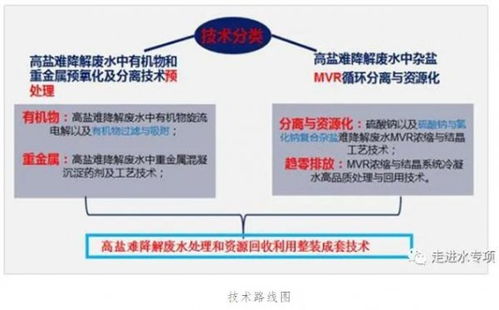 高鹽難降解廢水趨零排放技術(shù)實(shí)現(xiàn)重大突破與規(guī)?；瘧?yīng)用