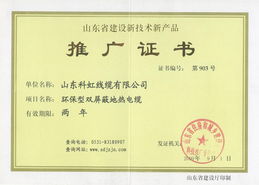 地?zé)犭娎|榮獲山東省建設(shè)新技術(shù)新產(chǎn)品推廣證書 綠色科技引領(lǐng)建筑節(jié)能新篇章